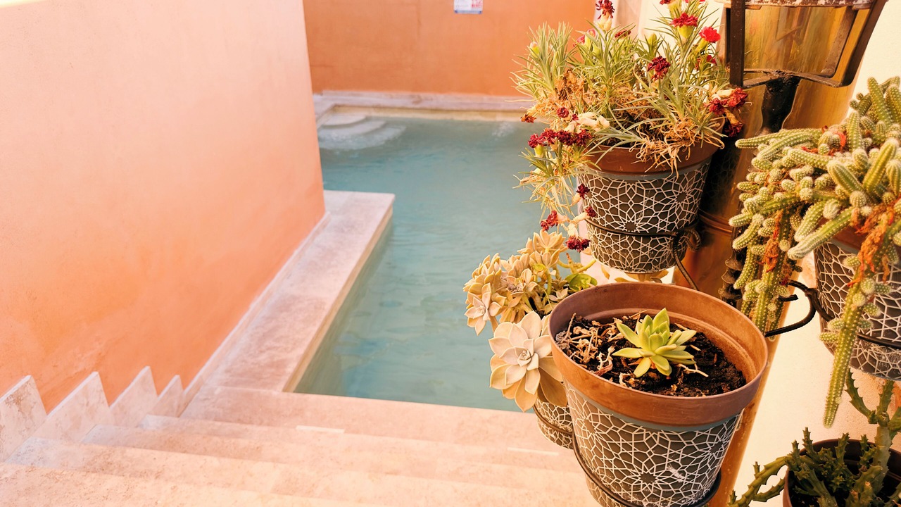 Photo of Outdoor in Navahermosa