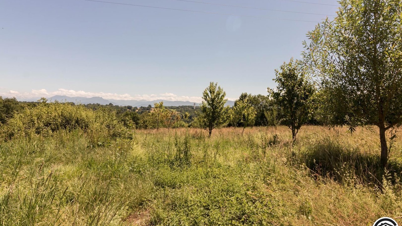 Photo of Others in Villeneuve-Lecussan