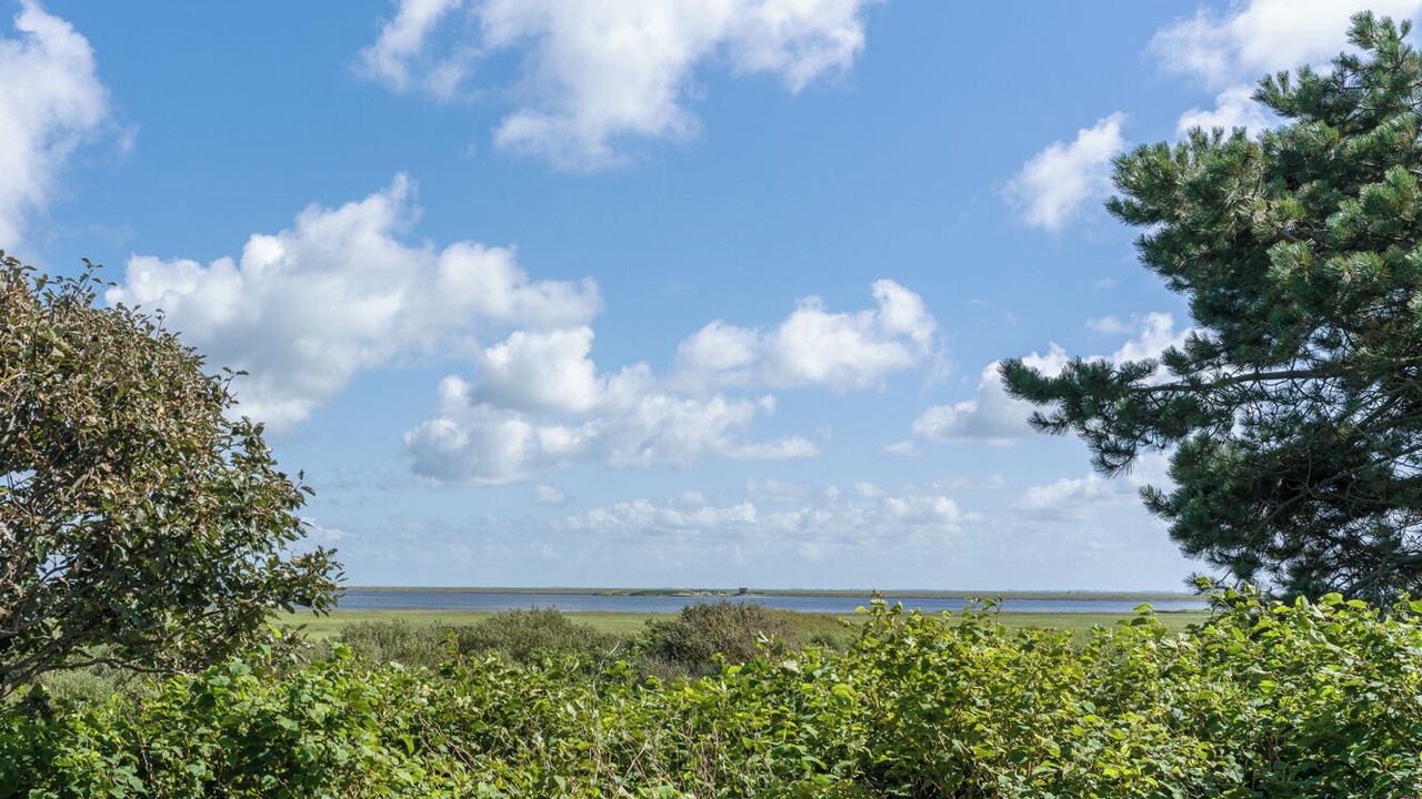 Photo of Others in Westerland