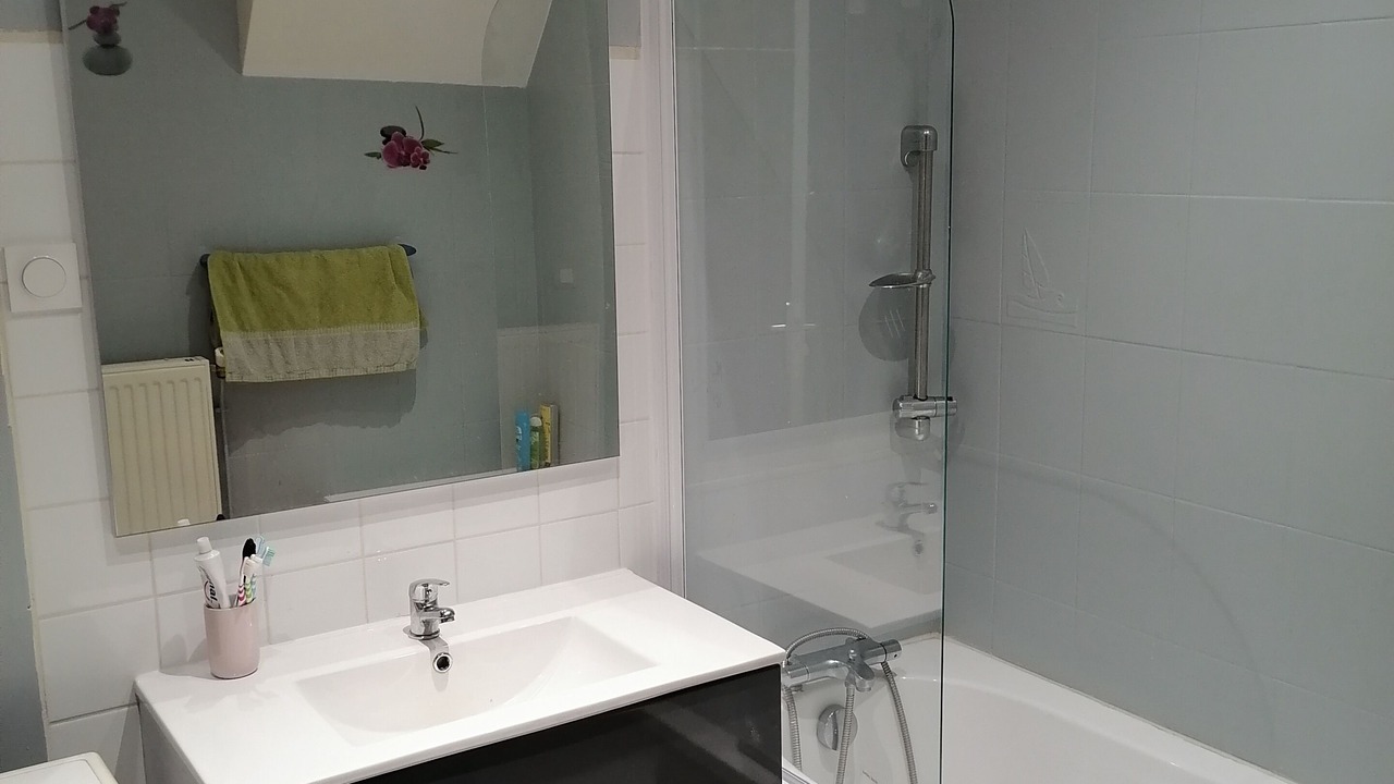 Photo of Bathroom in Morez