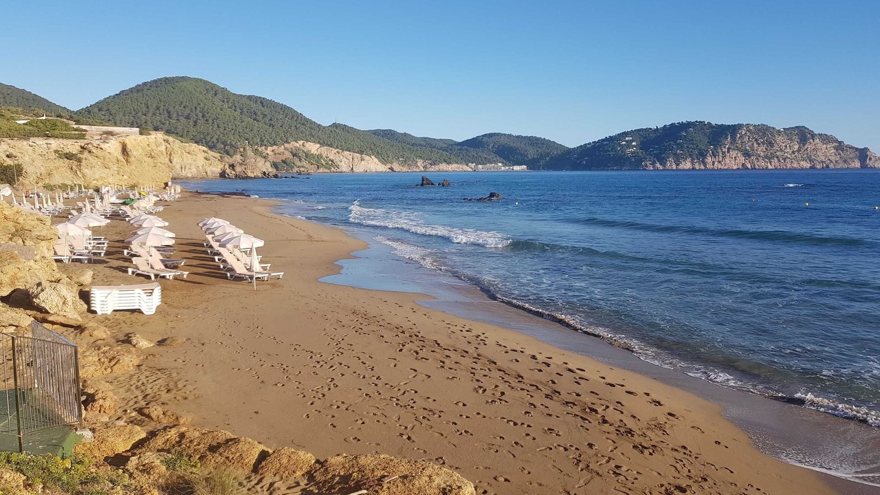 Photo of Others in Es Figueral Beach