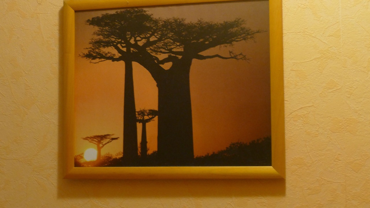 Photo of Others in Sogel