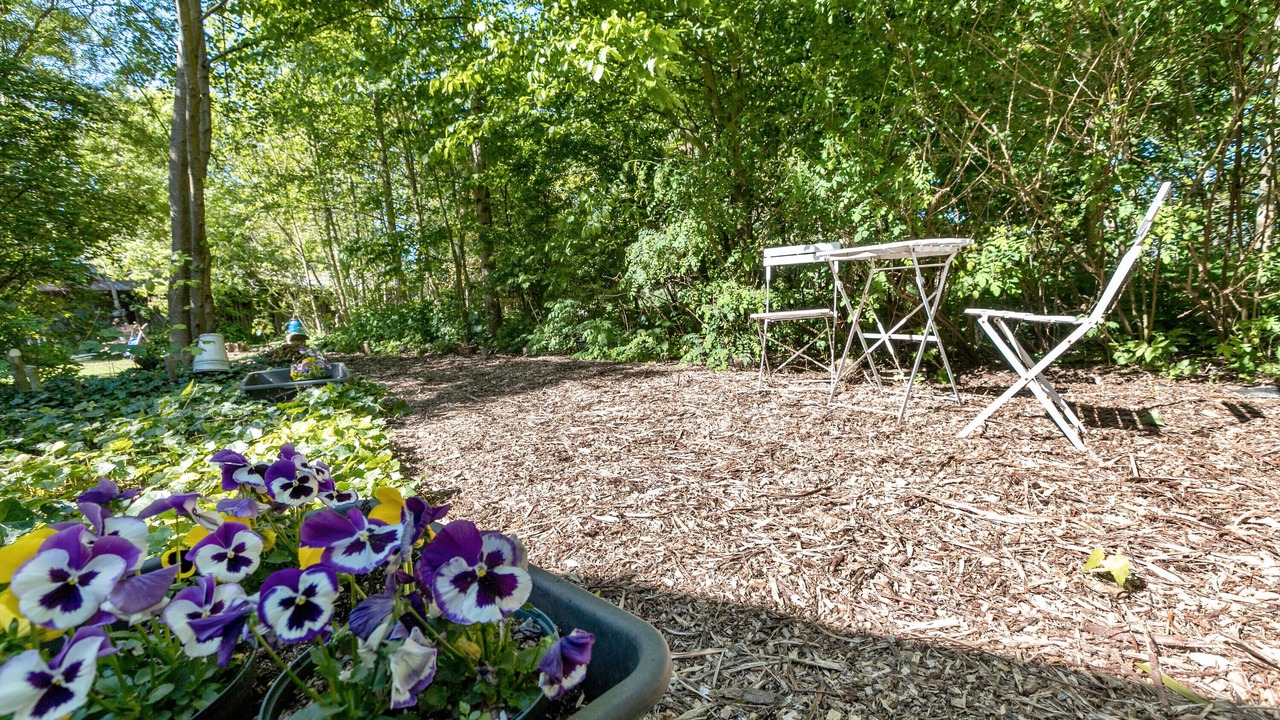 Photo of Outdoor in Schulp