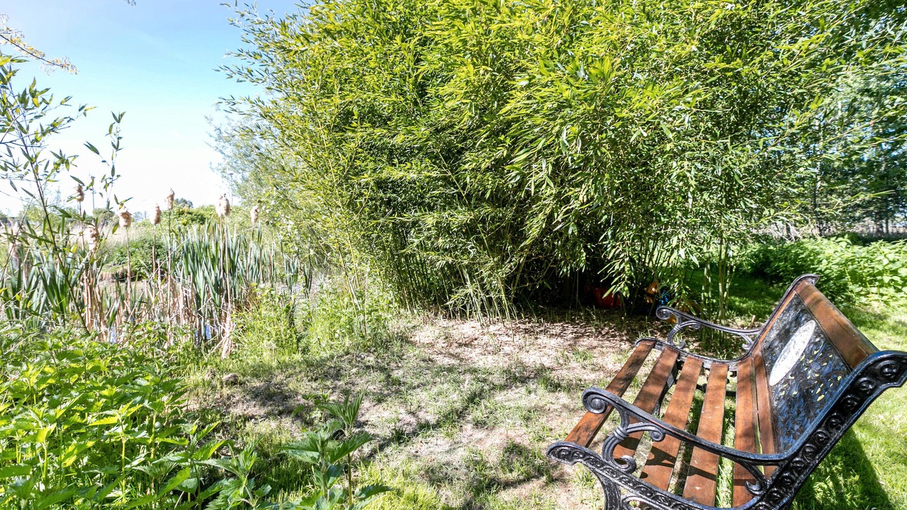 Photo of Outdoor in Schulp