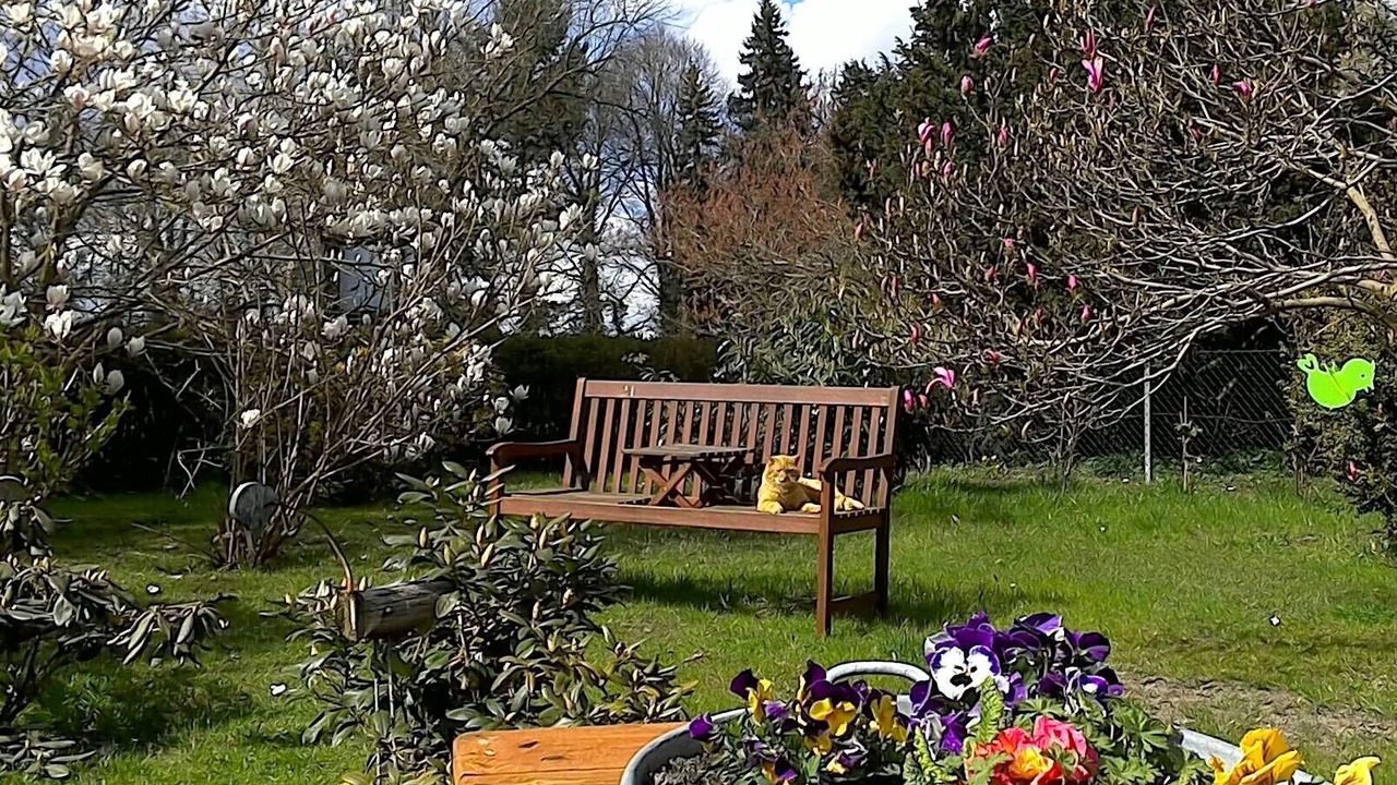 Photo of Outdoor in Krienke