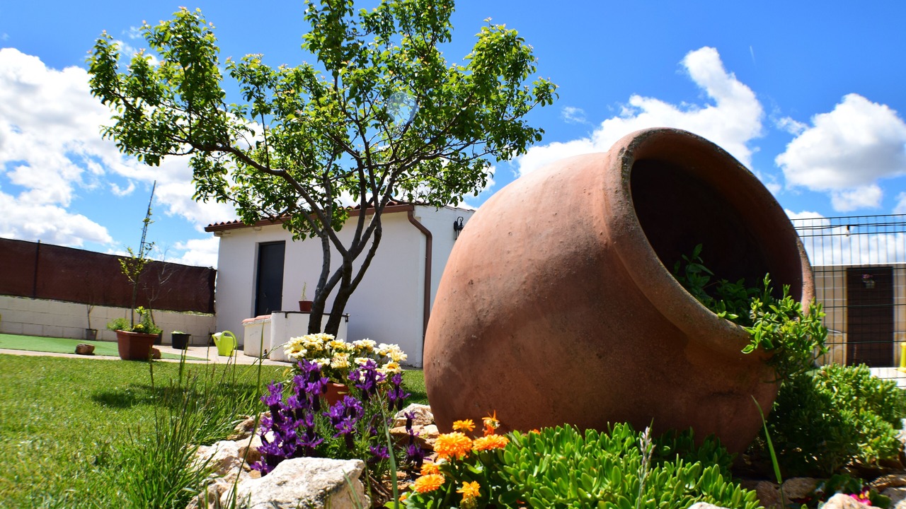 Photo of Outdoor in El Robledo