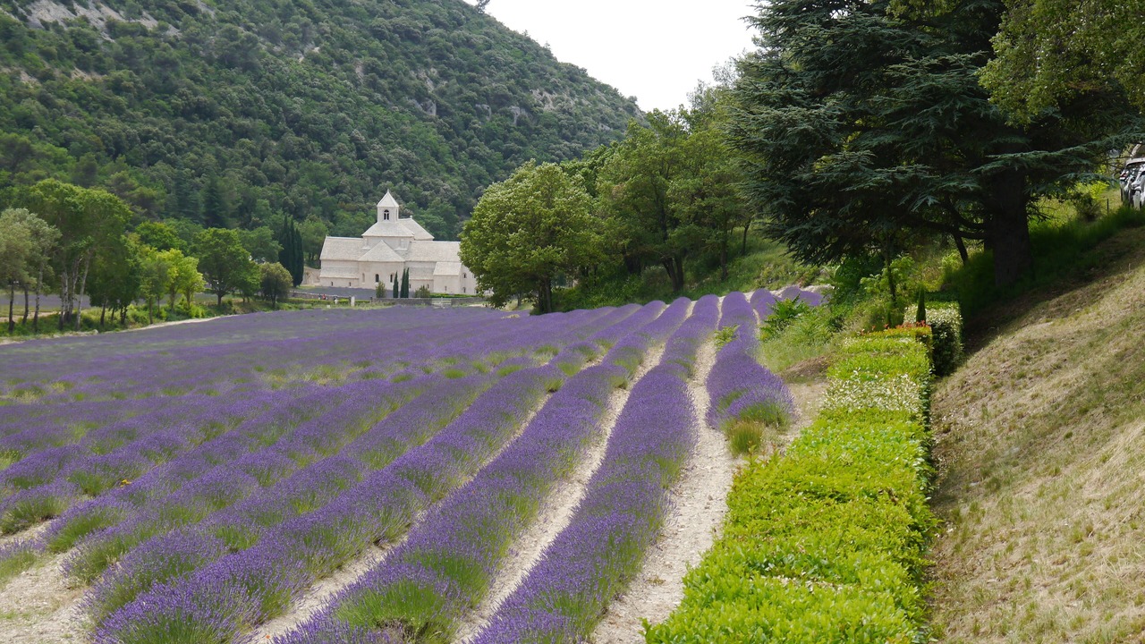 Photo of Others in Castillon-du-Gard