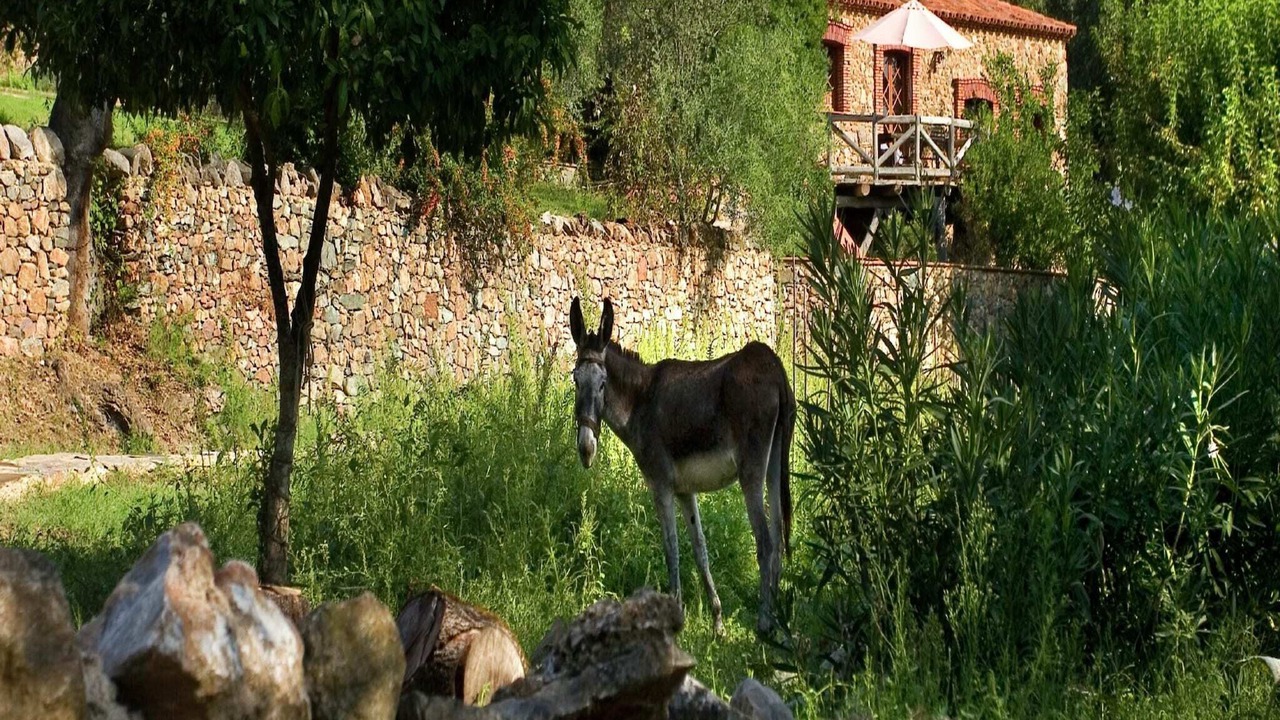 Photo of Outdoor in Alajar