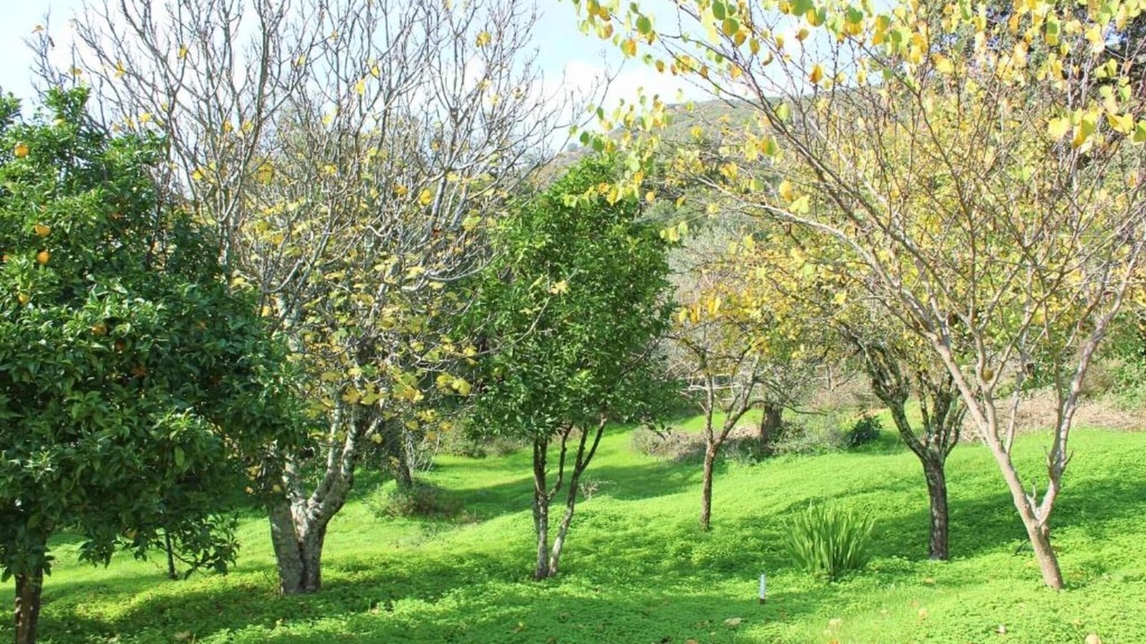 Photo of Others in Alajar
