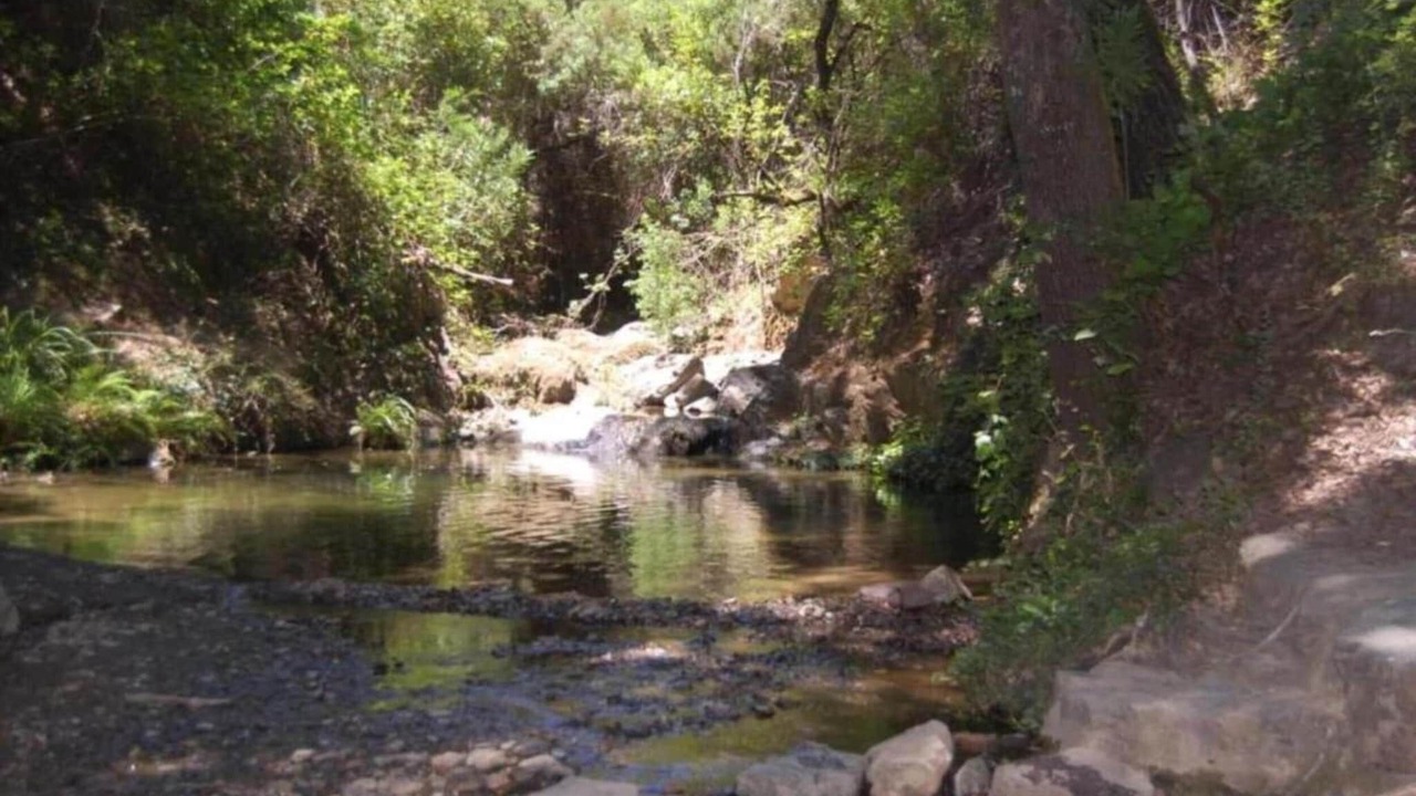 Photo of Others in Alajar