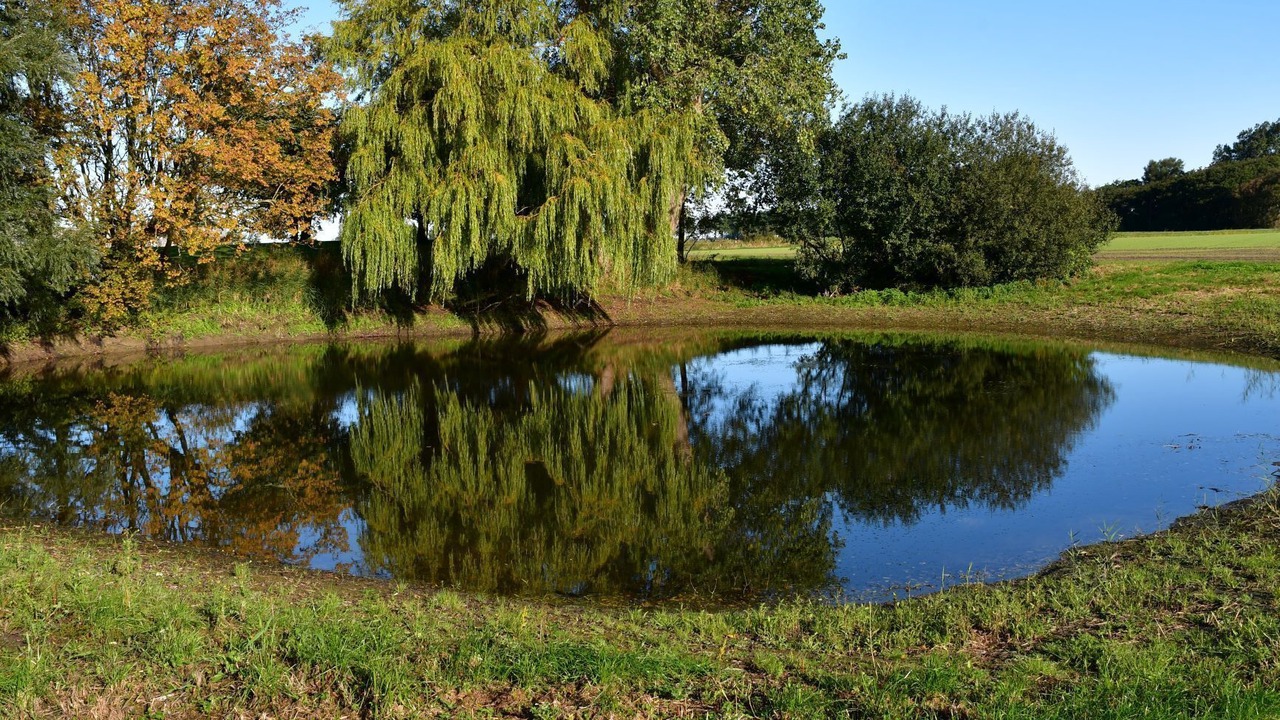 Photo of Others in Suderdeich