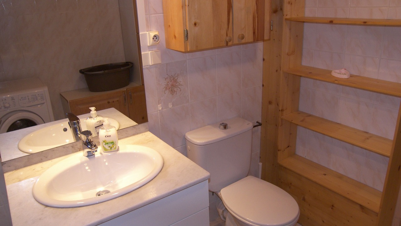 Photo of Bathroom in Les Villards-sur-Thones
