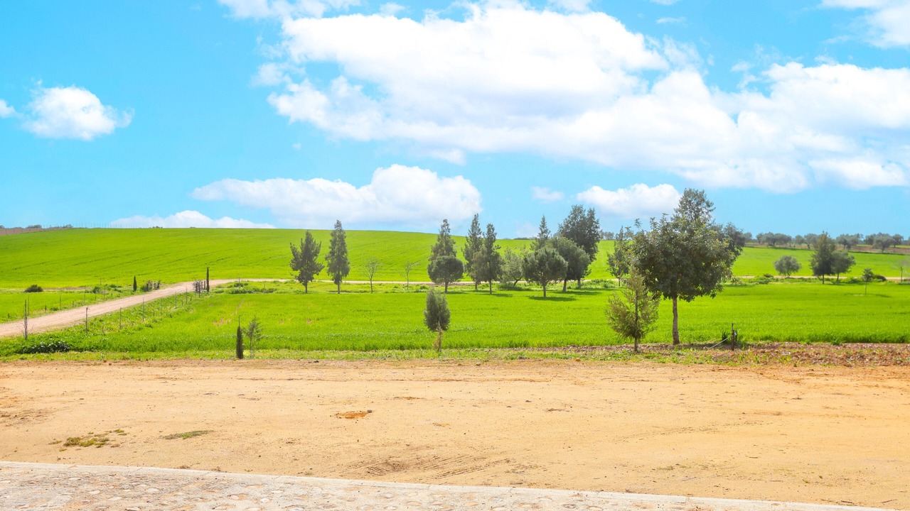 Photo of Others in Carmona