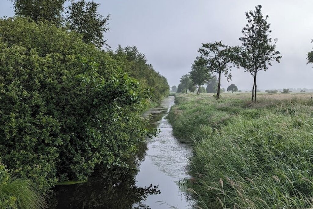 Photo of Others in Bad Bederkesa