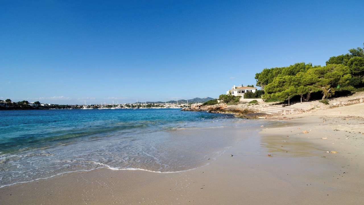 Photo of Others in Portocolom
