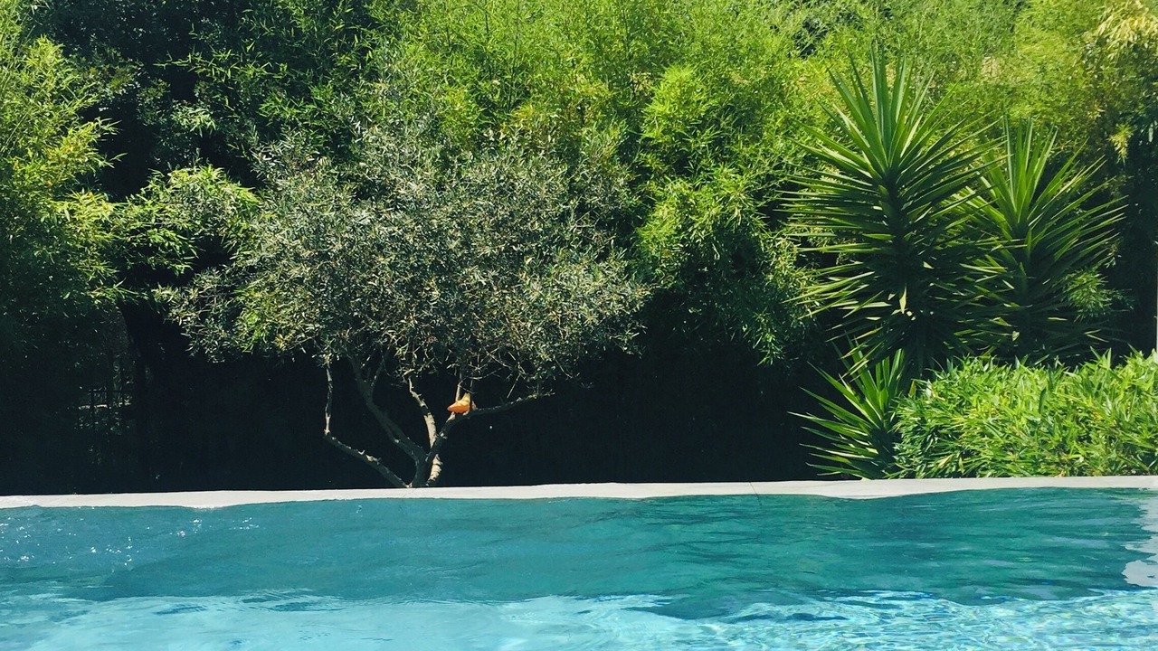 Photo of Outdoor in Mont Duplan