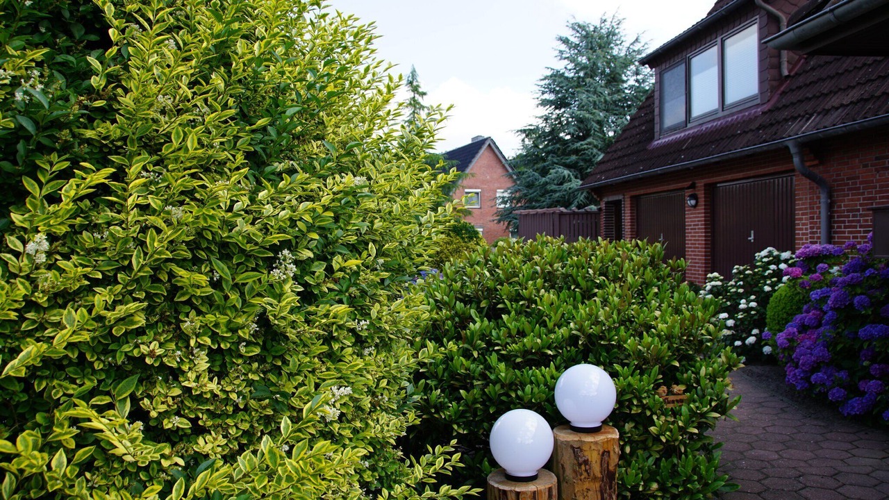 Photo of Outdoor in Dithmarschen