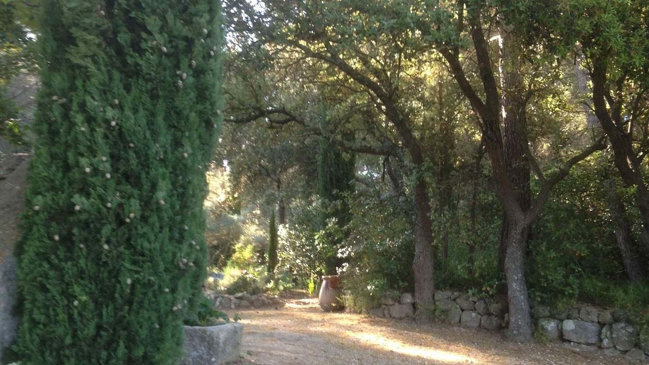 Photo of Outdoor in Est