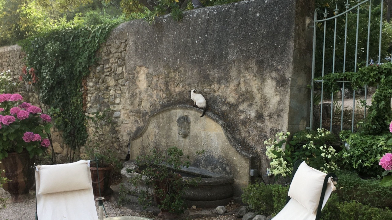 Photo of Patio Balcony in Est