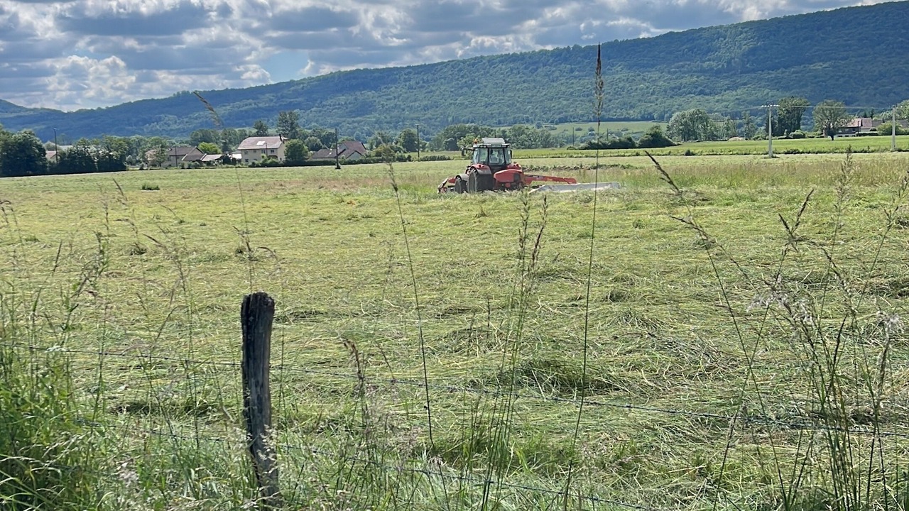 Photo of Others in Pont-du-Navoy