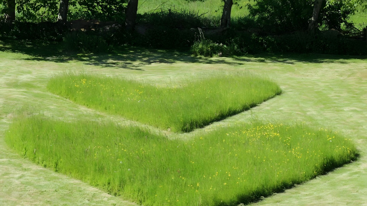 Photo of Outdoor in Karolinenkoog