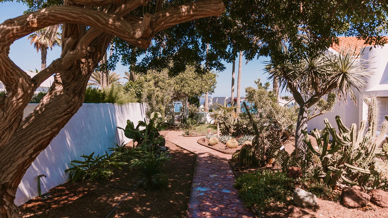 Photo of Outdoor in Playa del Ingles