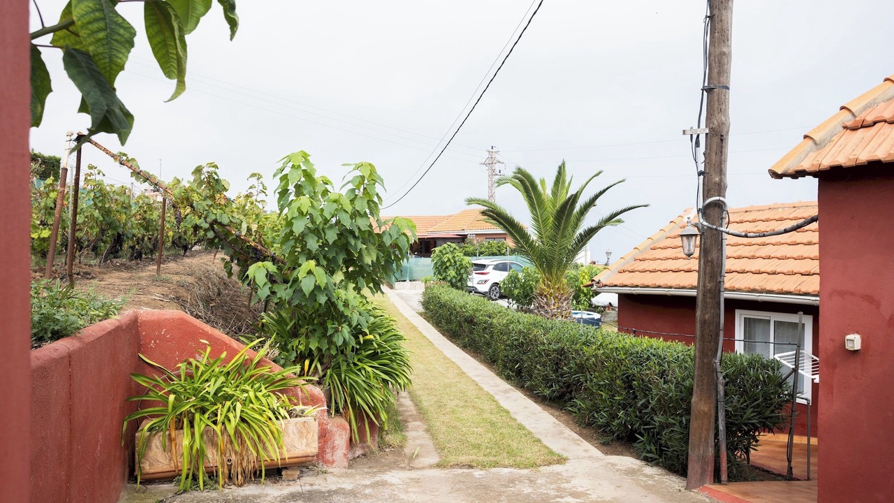 Photo of Outdoor in Icod el Alto
