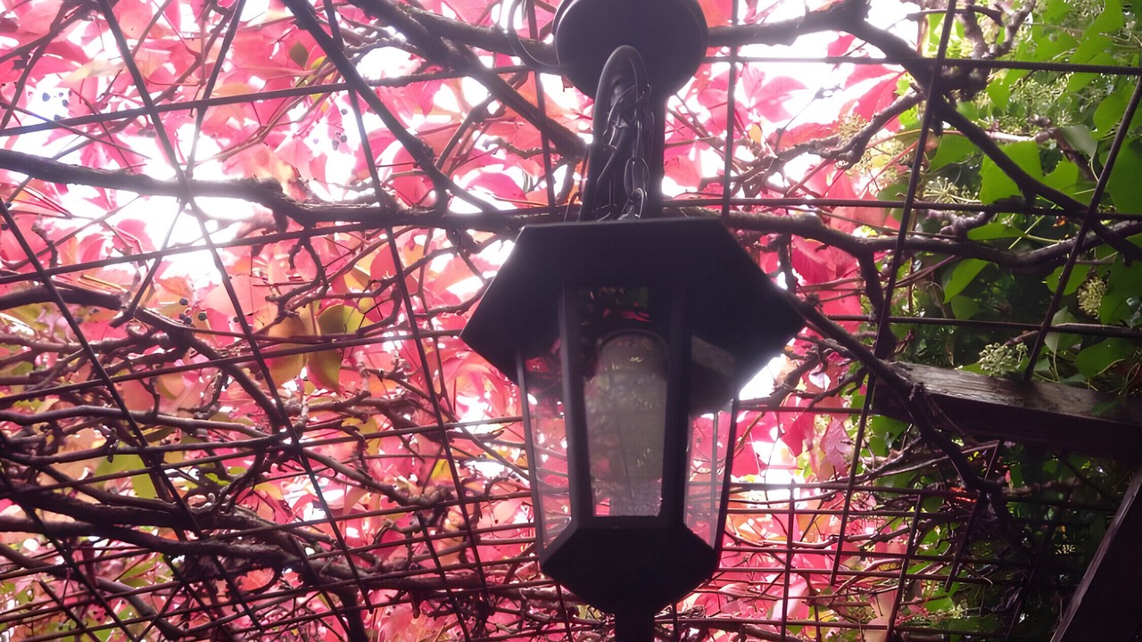 Photo of Outdoor in Alsasua