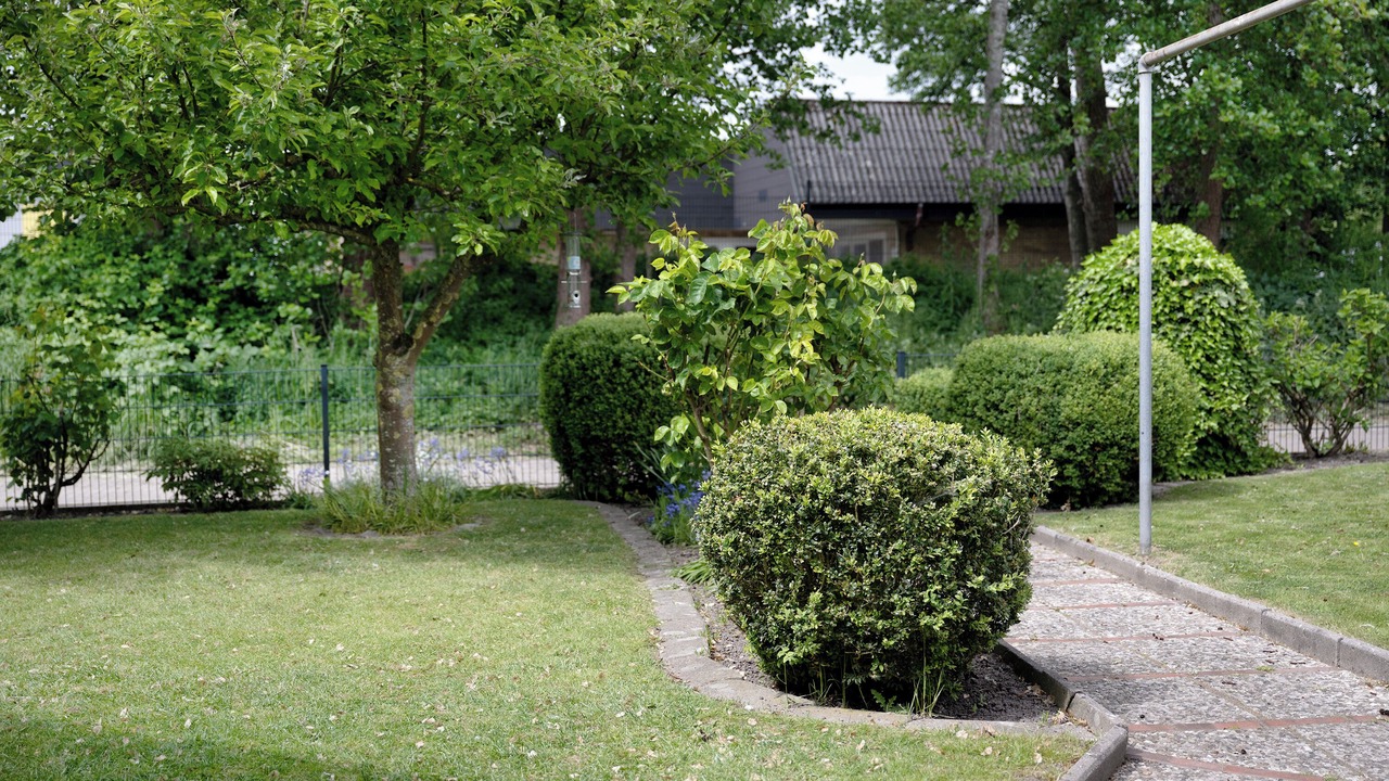 Photo of Outdoor in Wesselburen