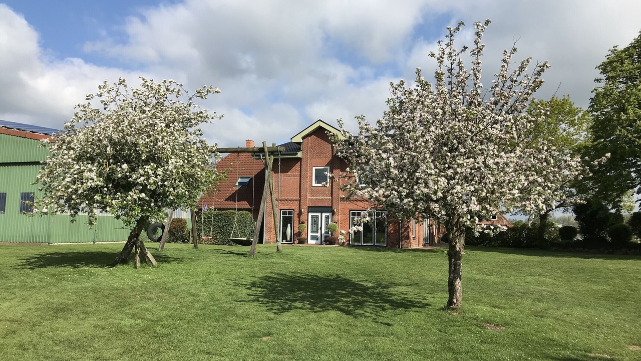 Photo of Outdoor in Lehe
