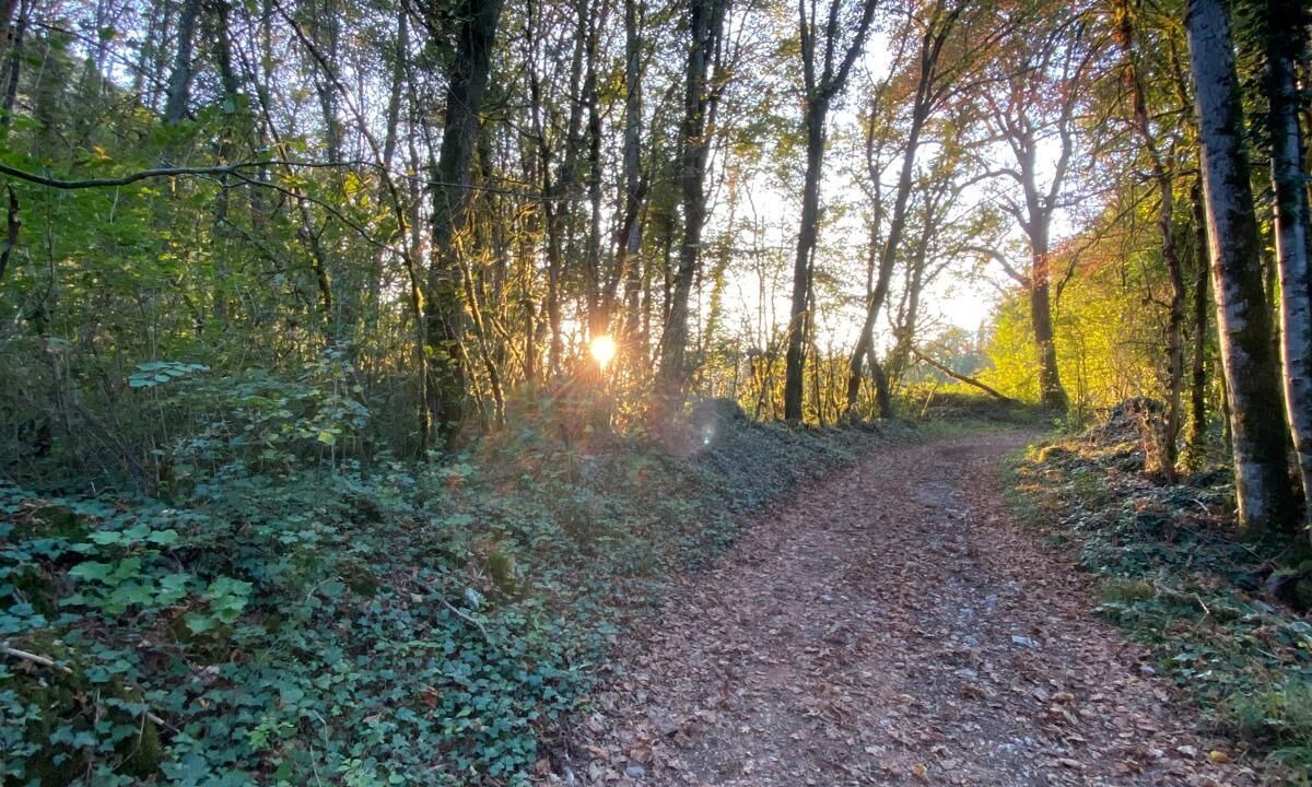 Photo of Others in Saint-Gervais