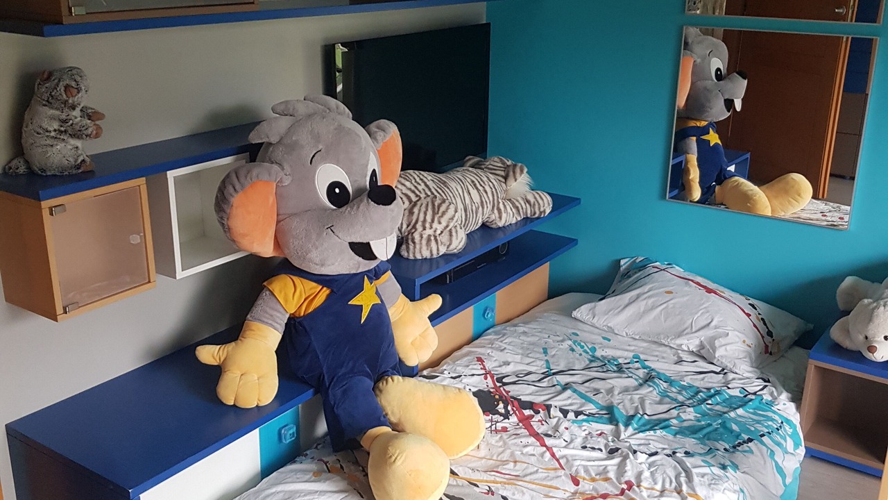 Photo of Bedroom in Messery
