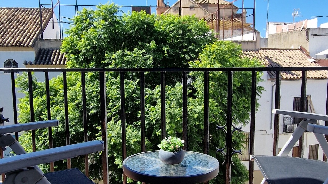 Photo of Outdoor in San Pedro