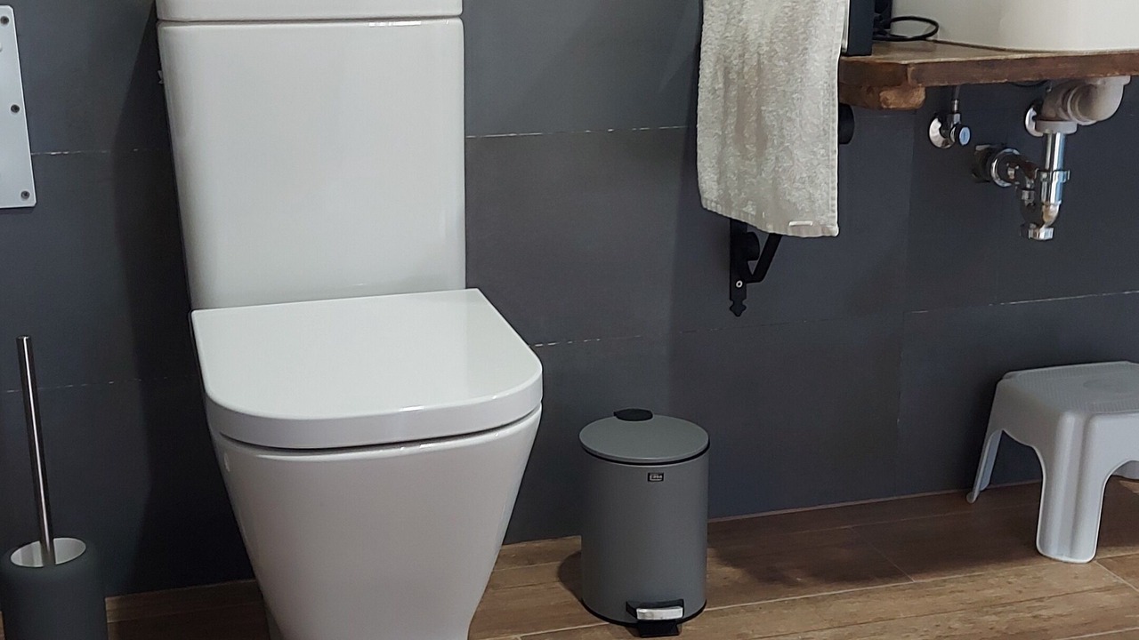 Photo of Bathroom in Alar del Rey
