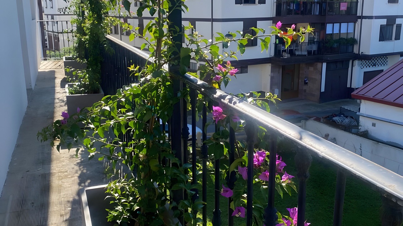 Photo of Outdoor in Elizondo