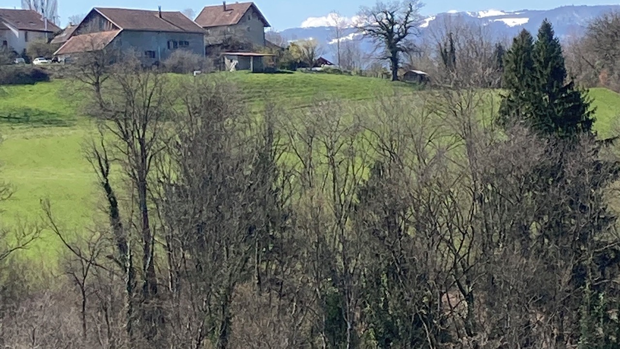 Photo of Others in Desingy