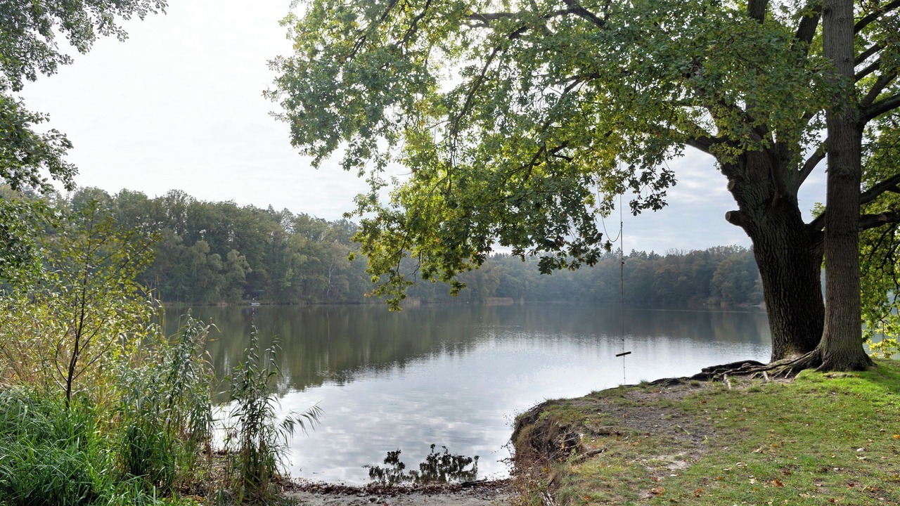 Photo of Others in Lochow