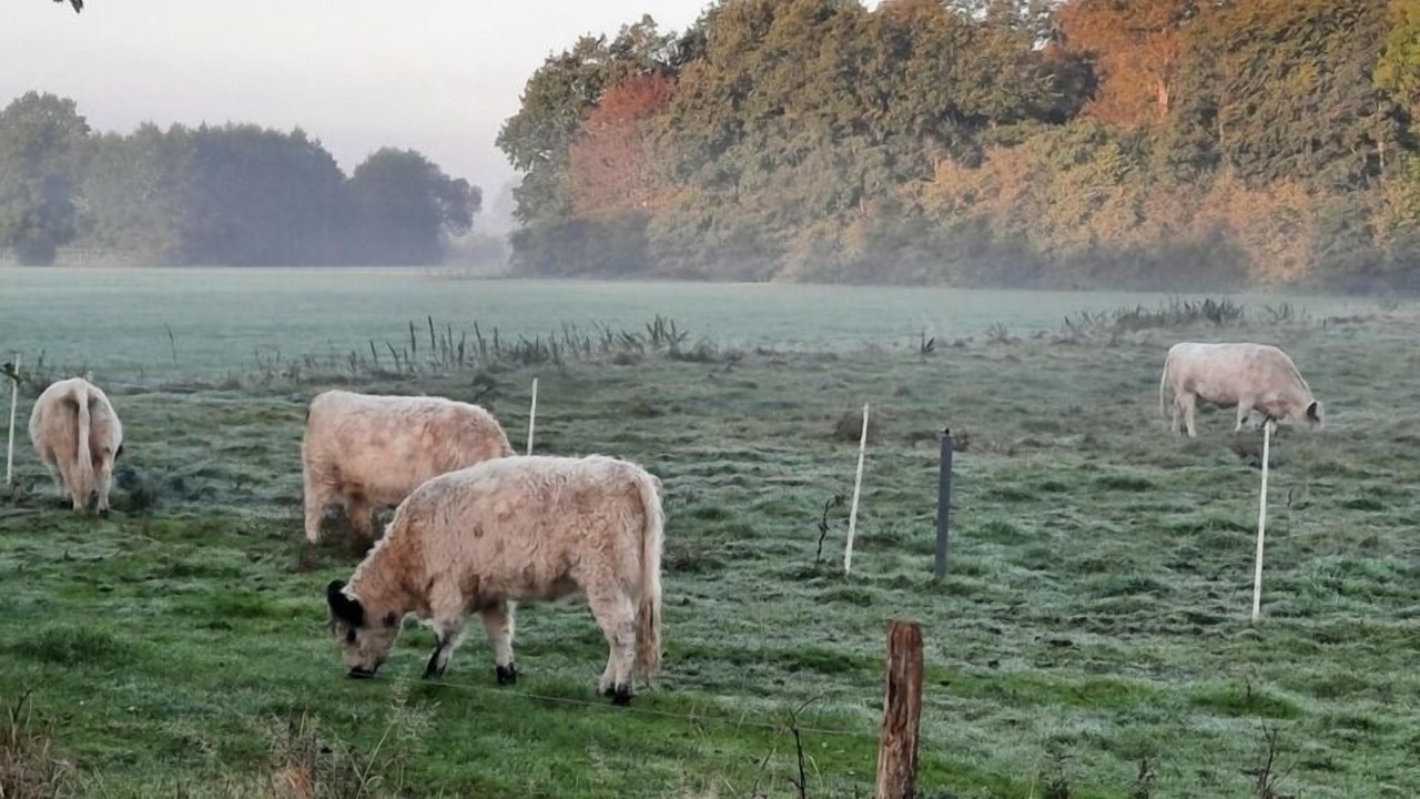 Photo of Others in Silberstedt