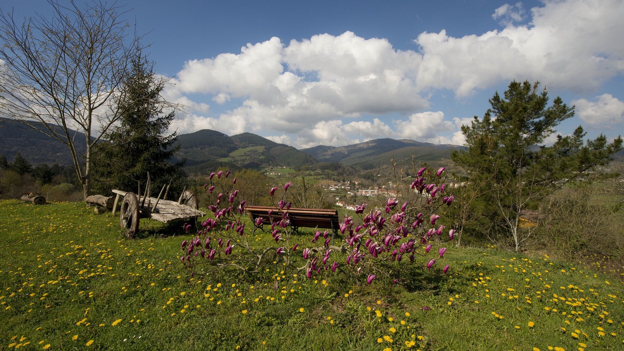 Photo of Others in Sopuerta