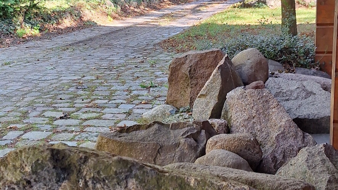 Photo of Outdoor in Friesack