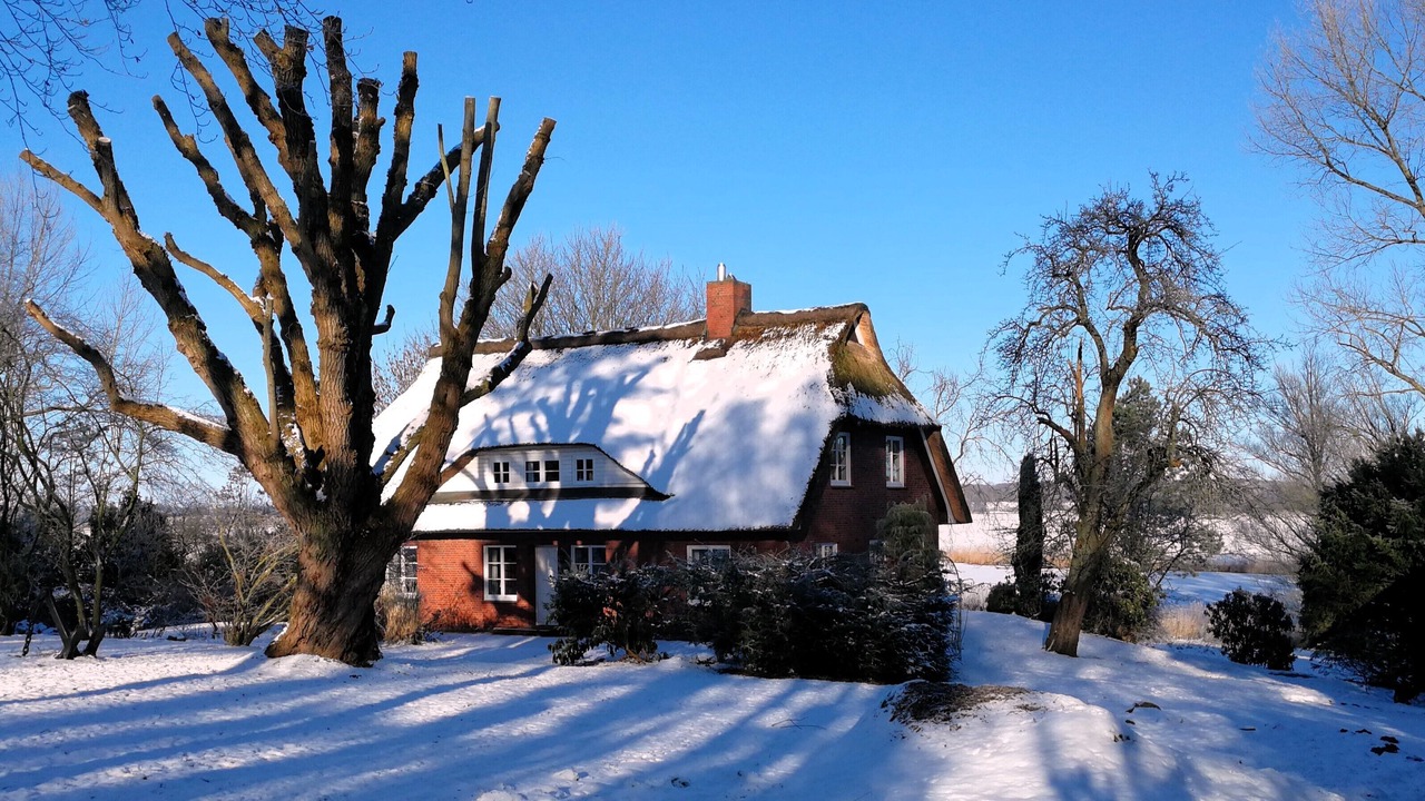 Photo of Outdoor in Breiholz