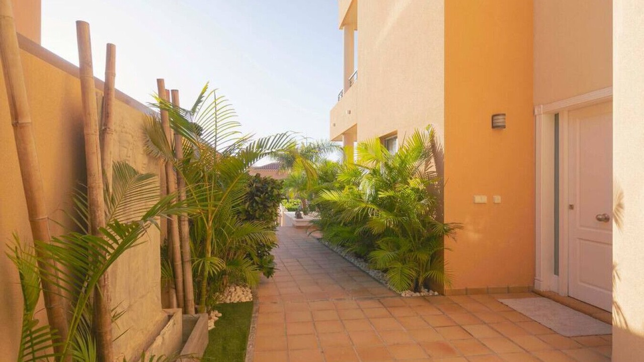 Photo of Outdoor in Puerto de Santiago
