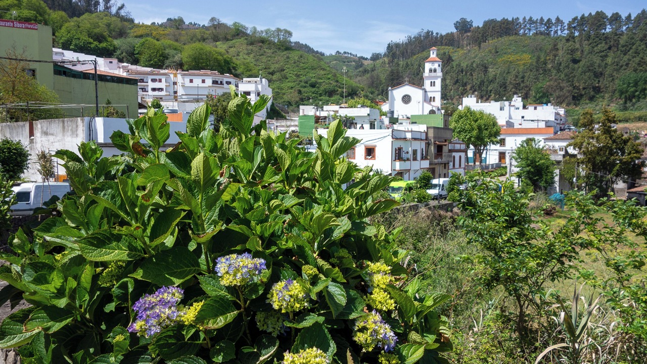 Photo of Outdoor in Galdar
