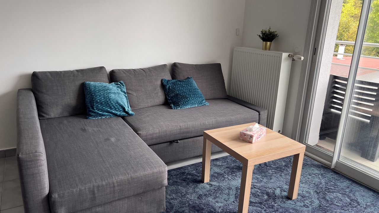 Photo of Livingroom in Gex