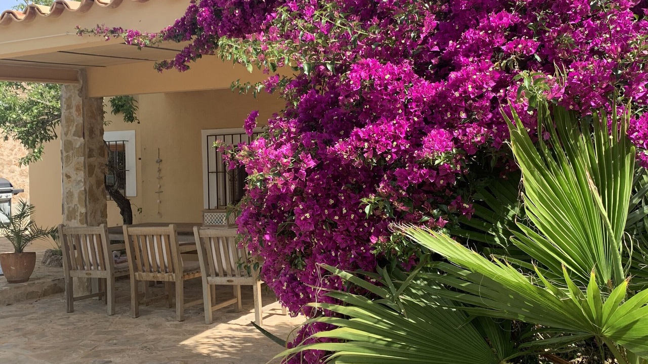 Photo of Patio Balcony in Algaida