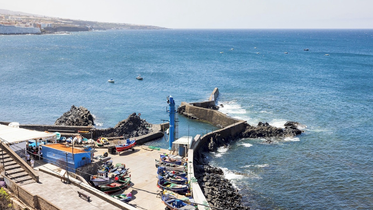 Photo of Others in Punta del Hidalgo