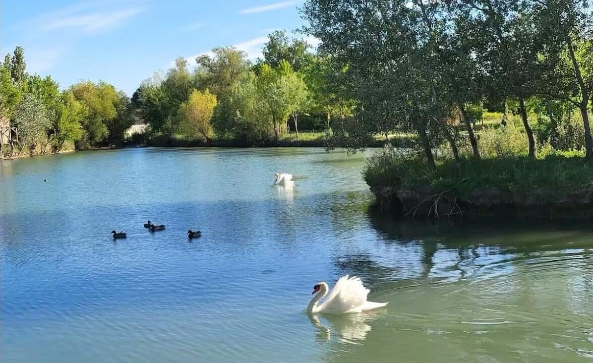 Photo of Others in Saint-Saturnin-les-Avignon