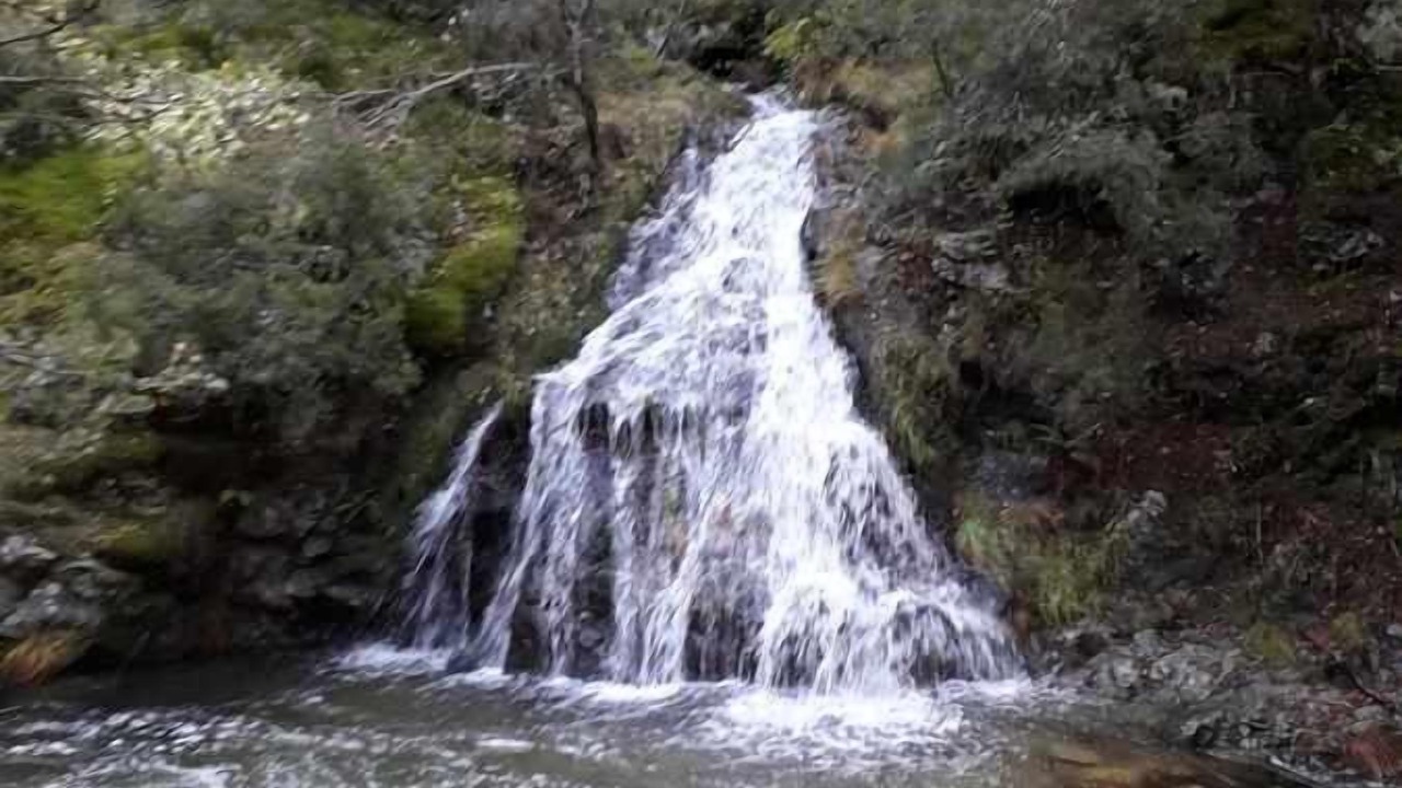 Photo of Others in Valsain