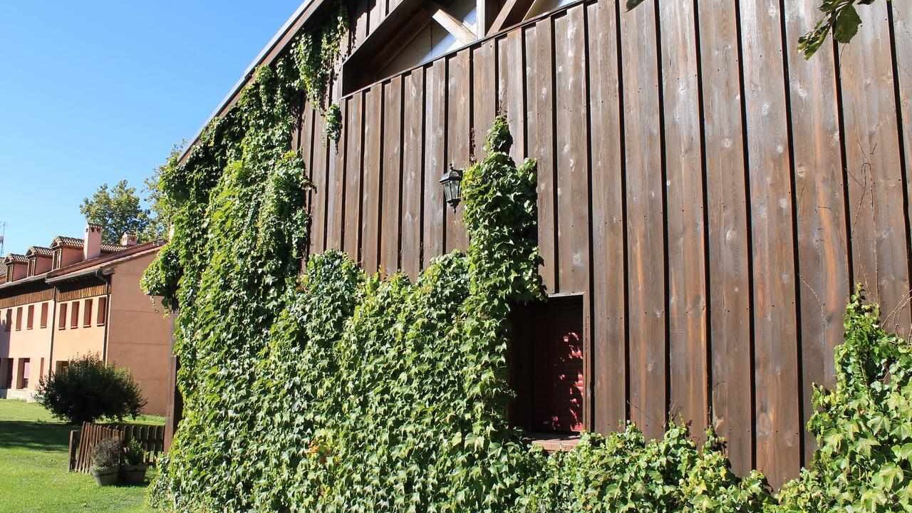 Photo of Outdoor in Valsain