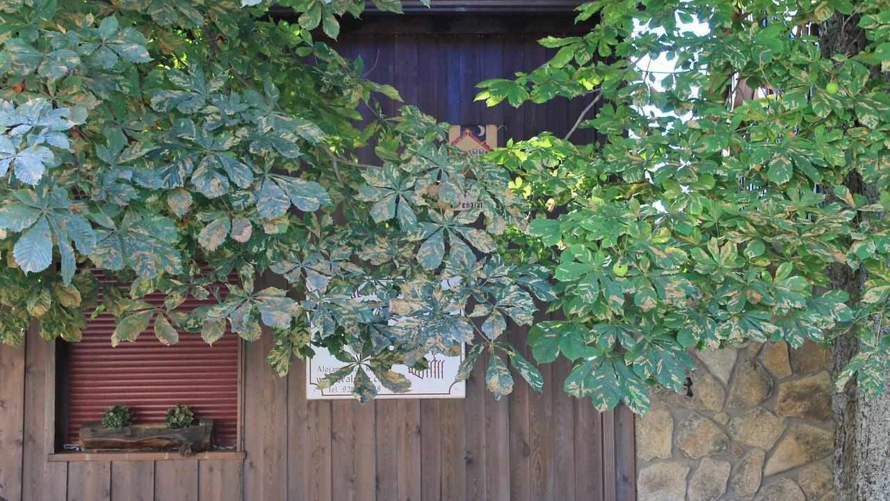 Photo of Outdoor in Valsain